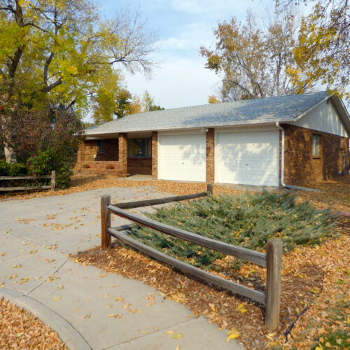 331 Juniper (1)