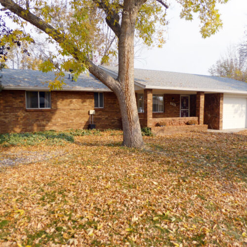 331 Juniper (2)