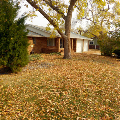 331 Juniper (33)