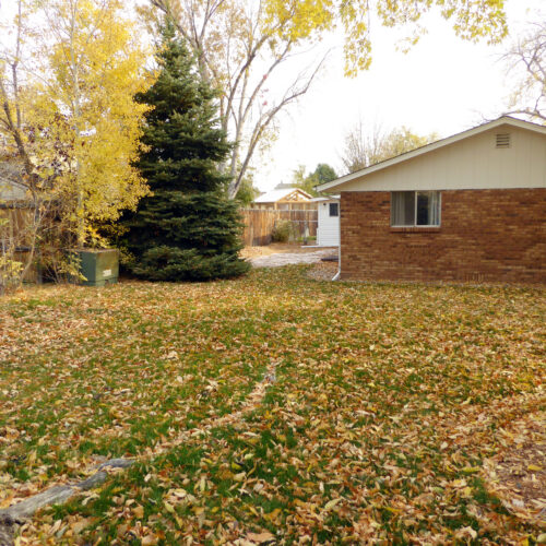 331 Juniper (34)