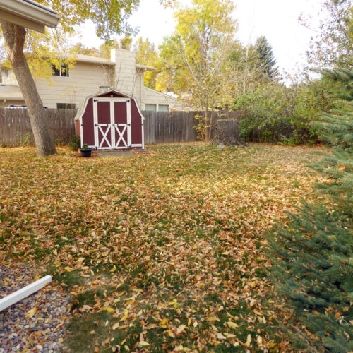 331 Juniper (35)